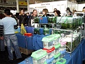 Heimtiermesse 2009   050